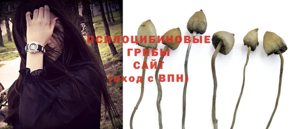 герыч Каменногорск