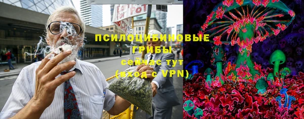 герыч Каменногорск