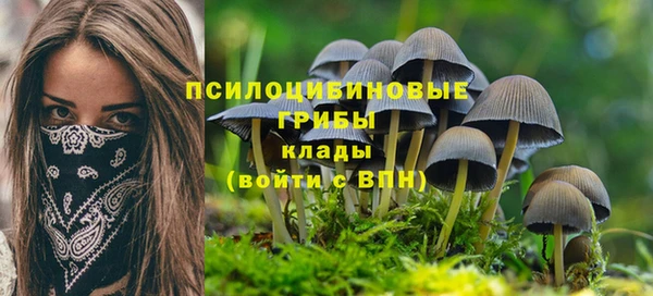 кокаин колумбия Каменка
