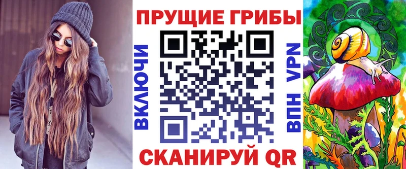 Галлюциногенные грибы Psilocybine cubensis  Купить где  Губкин 